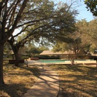 Picture of The Park at Walnut Creek pool area