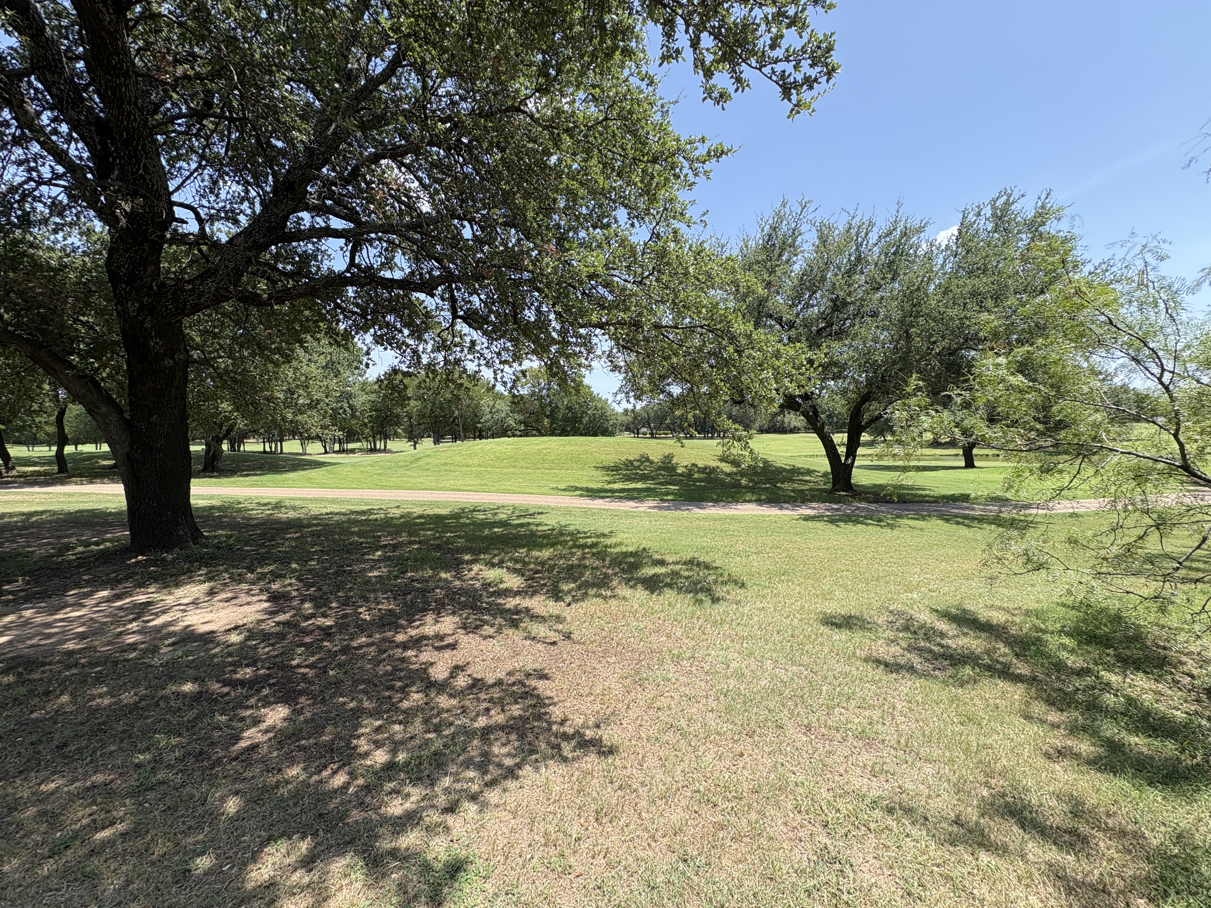 Property photo 11 of 27125 Whispering Meadow Dr in Whitney Texas