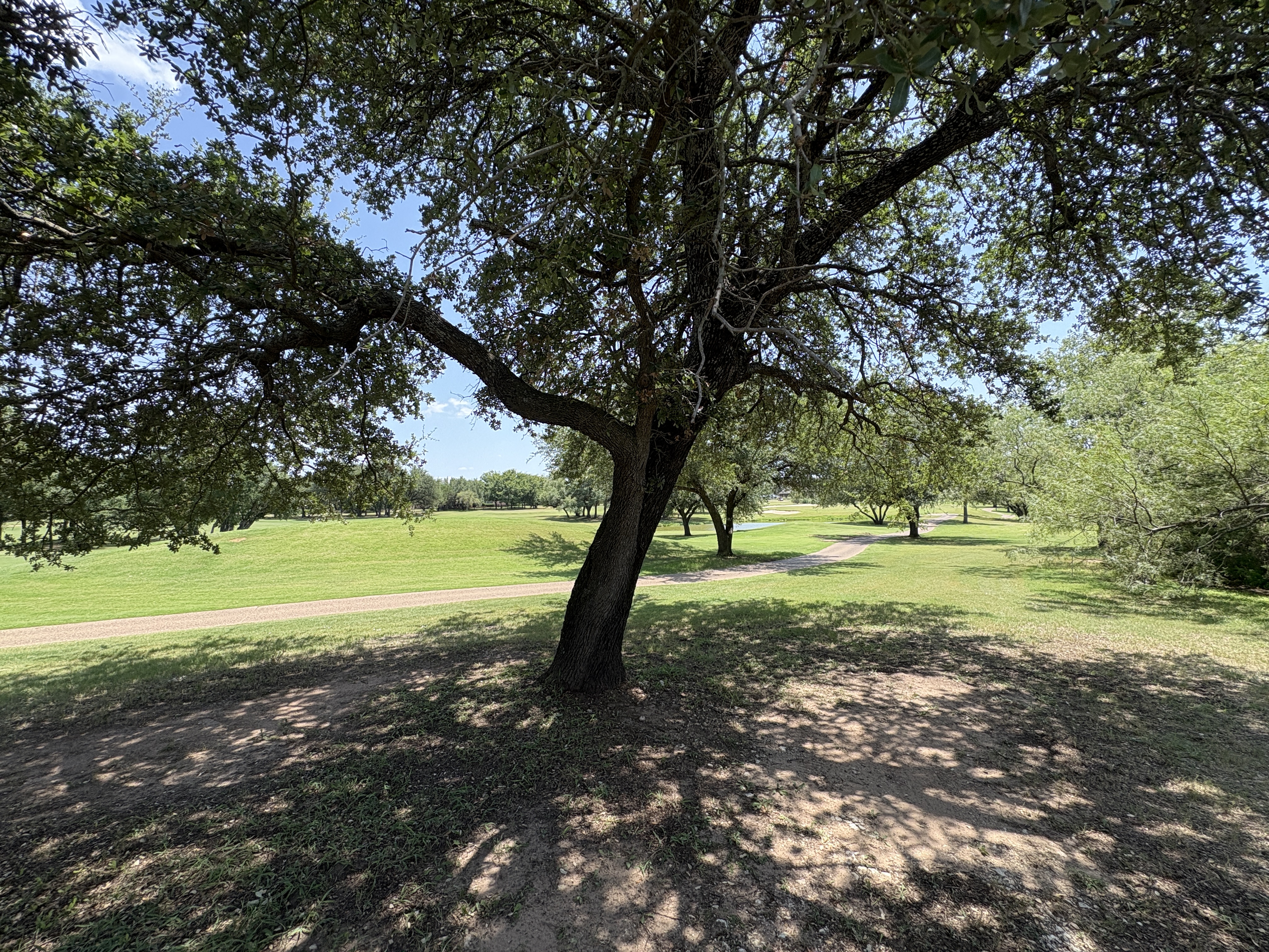 Property photo 74 of 27125 Whispering Meadow Dr in Whitney Texas